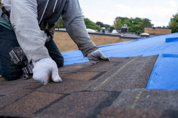 Professional Roofing service in Glen Ellyn, IL